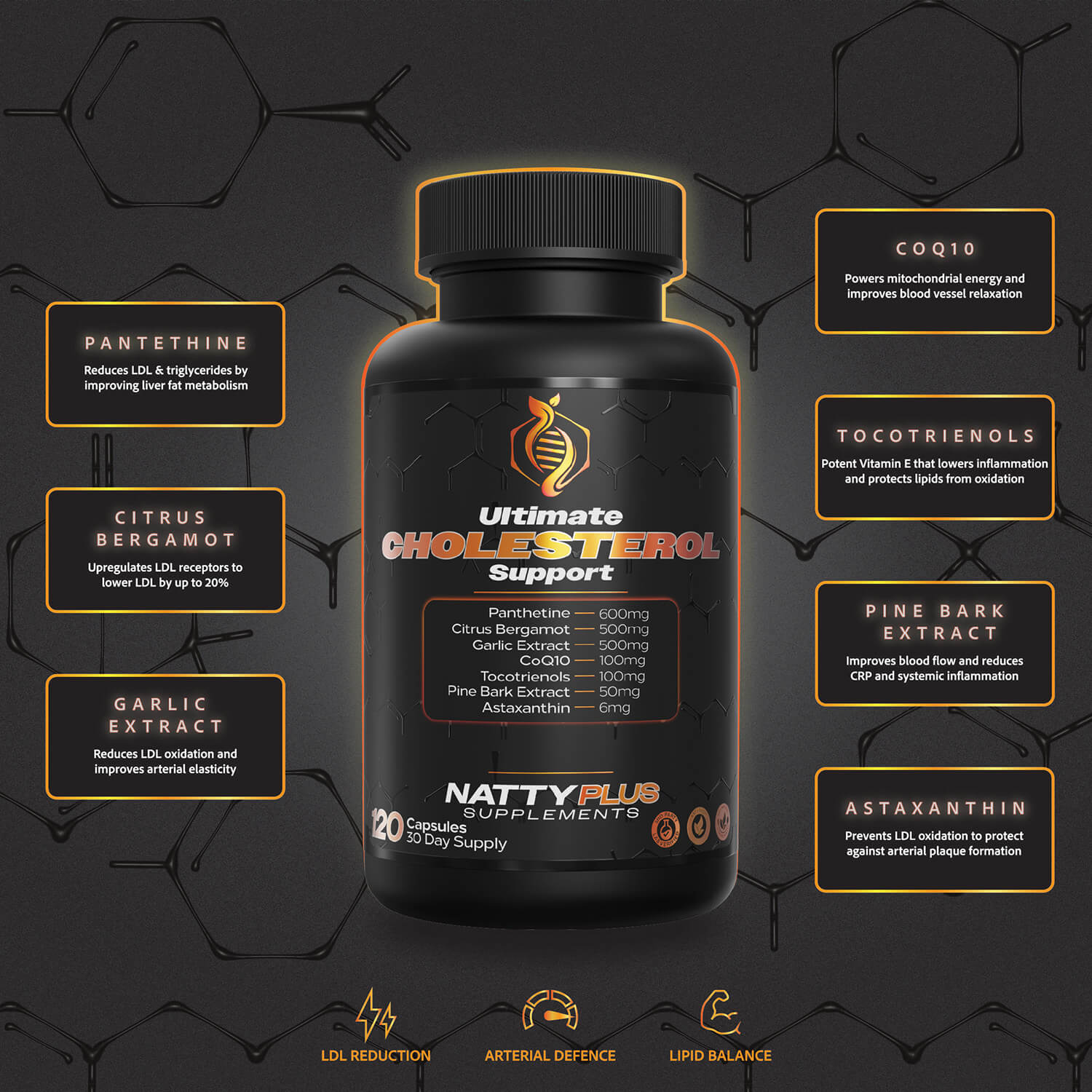 ULTIMATE CHOLESTEROL SUPPORT